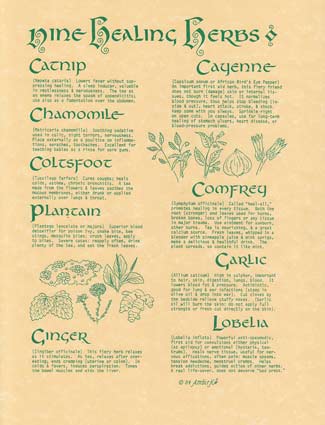 9 Herbs poster - Click Image to Close