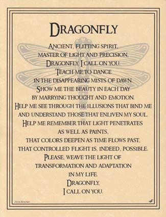Dragonfly poster - Click Image to Close