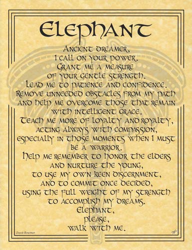 Elephant Prayer Poster - Click Image to Close