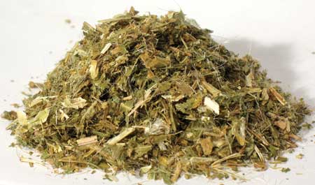 Blessed Thistle 2oz - Click Image to Close
