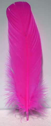 Pink feather 12"