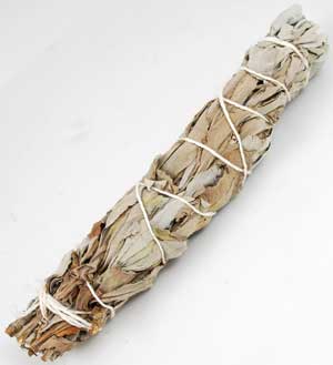 White Sage Smudging Wand 5"- 6" - Click Image to Close
