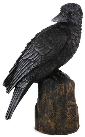 Backward Looking Raven Statue