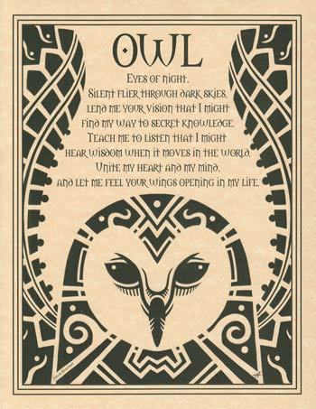Owl Poster - Click Image to Close