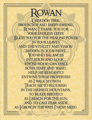 Rowan Tree Poster
