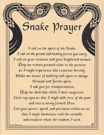 Snake Prayer Poster - Click Image to Close