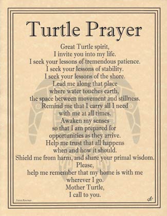 Turtle Prayer poster - Click Image to Close
