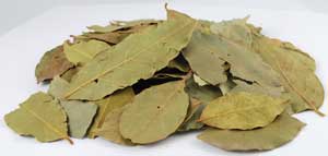 Bay Leaves whole 1oz 1618 gold - Click Image to Close