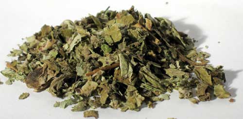 Coltsfoot Leaf cut 1oz 1618 gold