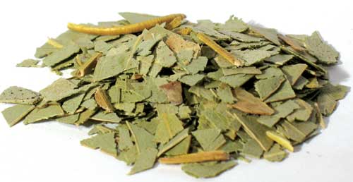 Eucalyptus cut 1oz 1618 gold - Click Image to Close