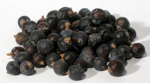 Juniper Berries whole 1oz 1618 gold