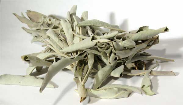 White Sage 1 Lb