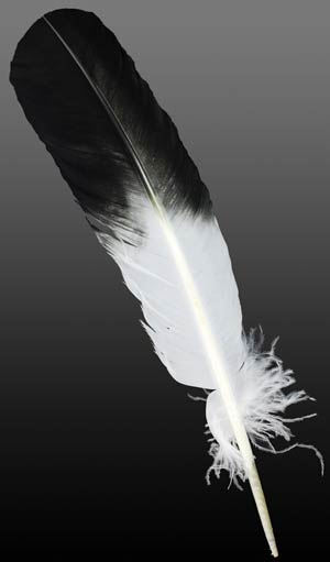 Imitation Eagle Feather - Click Image to Close