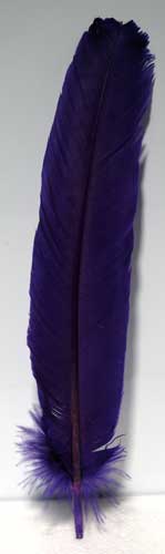 Purple feather 12" - Click Image to Close