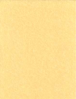 Light Parchment Paper 25 Pack (8 1/2" x 11") - Click Image to Close