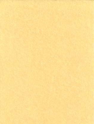 Light Parchment 5 Pack (8 1/2" x 11")